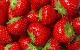 Fraises - Titre TEST - Overwrite